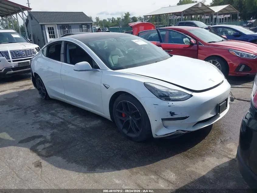 Tesla Modelo 3 Long Range/Performance 2018