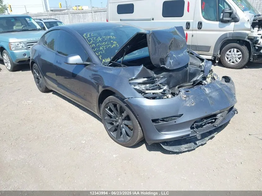 Tesla Model 3 Long Range/Performance 2019