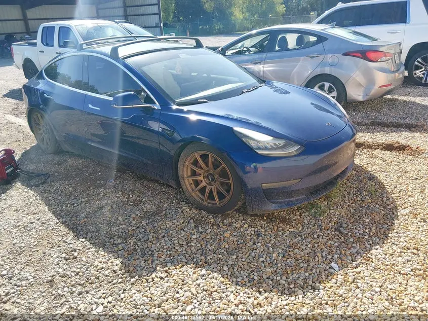 Tesla Model 3 Long Range/Performance 2019