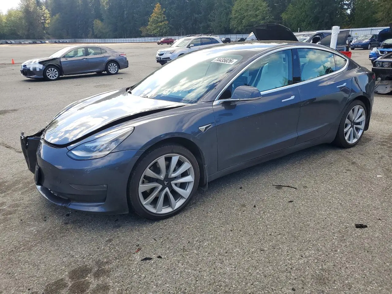 Tesla Model 3 2019
