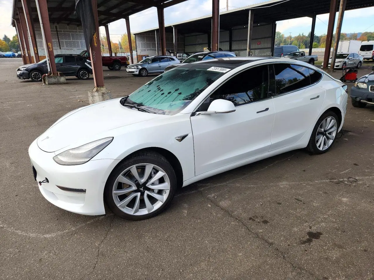 Tesla Model 3 2019