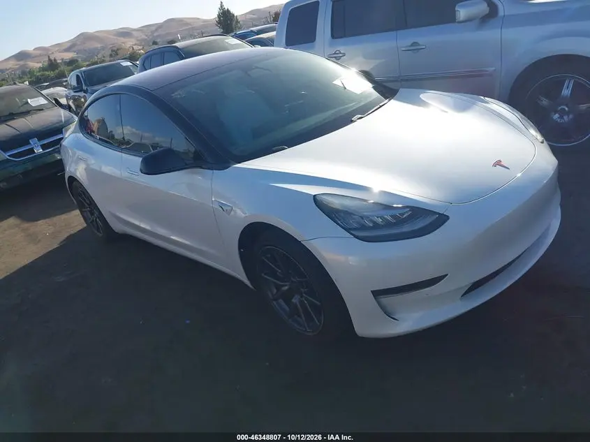 Tesla Model 3 Long Range/Performance 2019