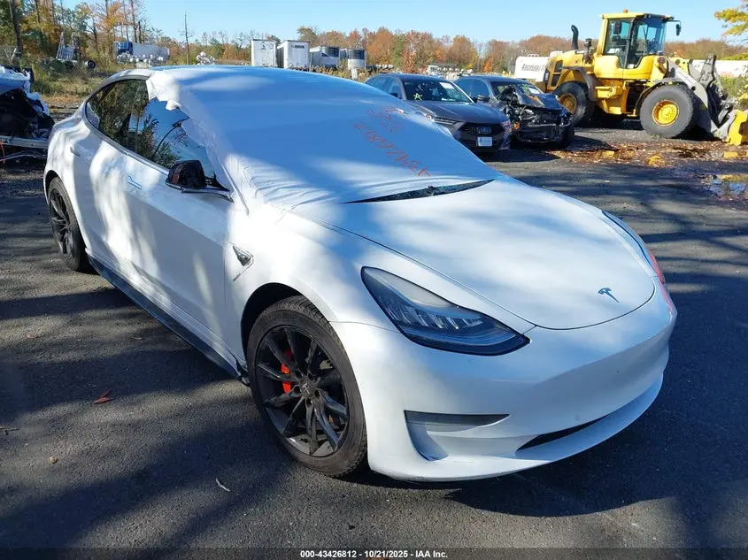 Tesla Model 3 Long Range/Performance 2019