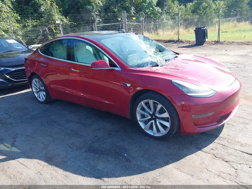 Tesla Model 3 2019