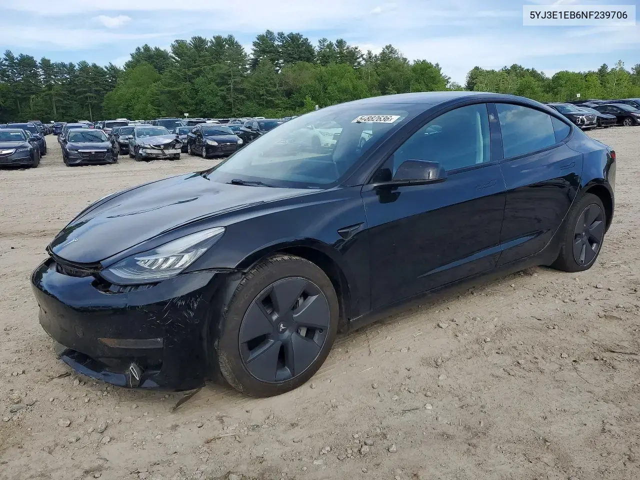 Tesla Model 3 2022