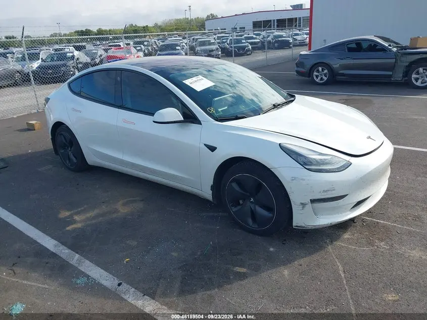 Tesla Modelo 3 Long Range/Performance 2018