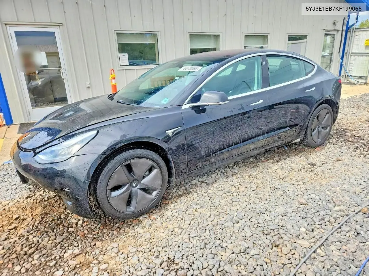 Tesla Model 3 2019