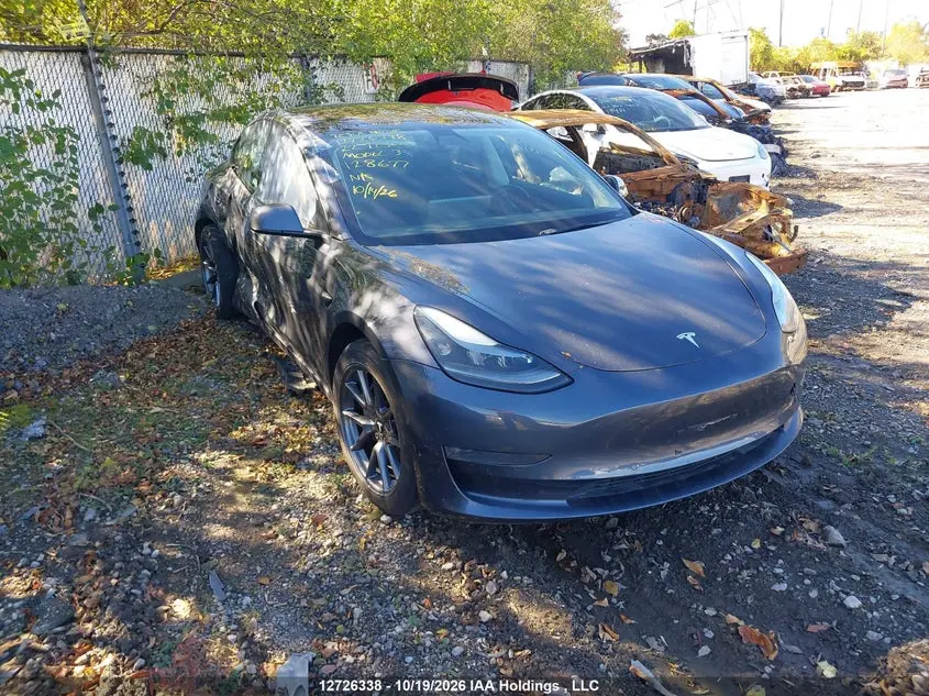 Tesla Model 3 2022
