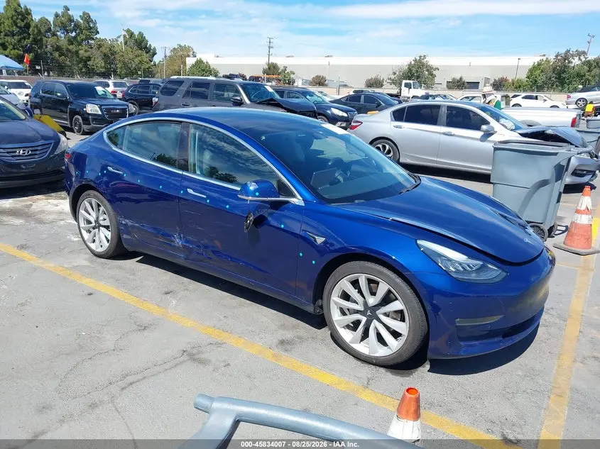 Tesla Model 3 Long Range/Performance 2019