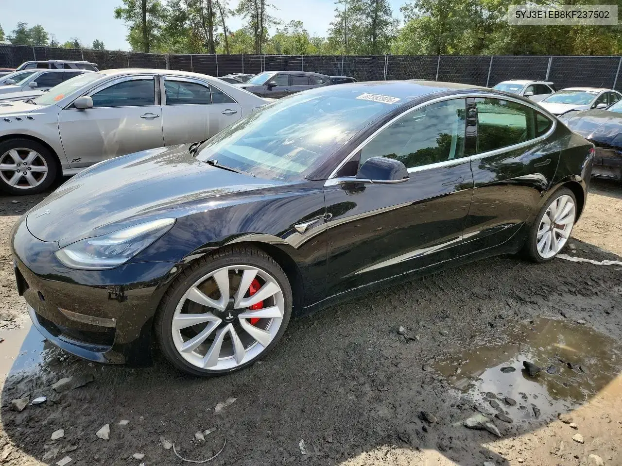 Tesla Model 3 2019