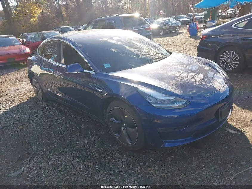 Tesla Model 3 Long Range/Performance 2019