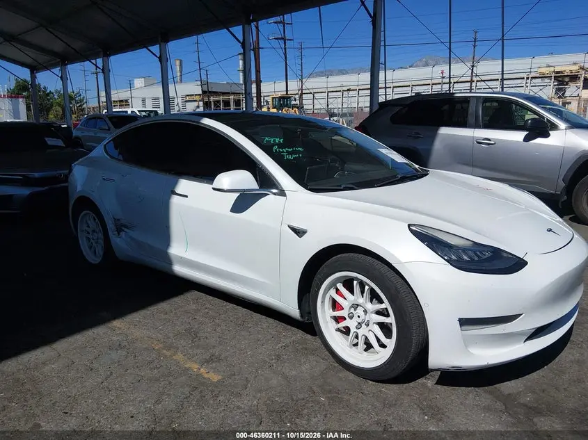Tesla Model 3 Long Range/Performance 2019