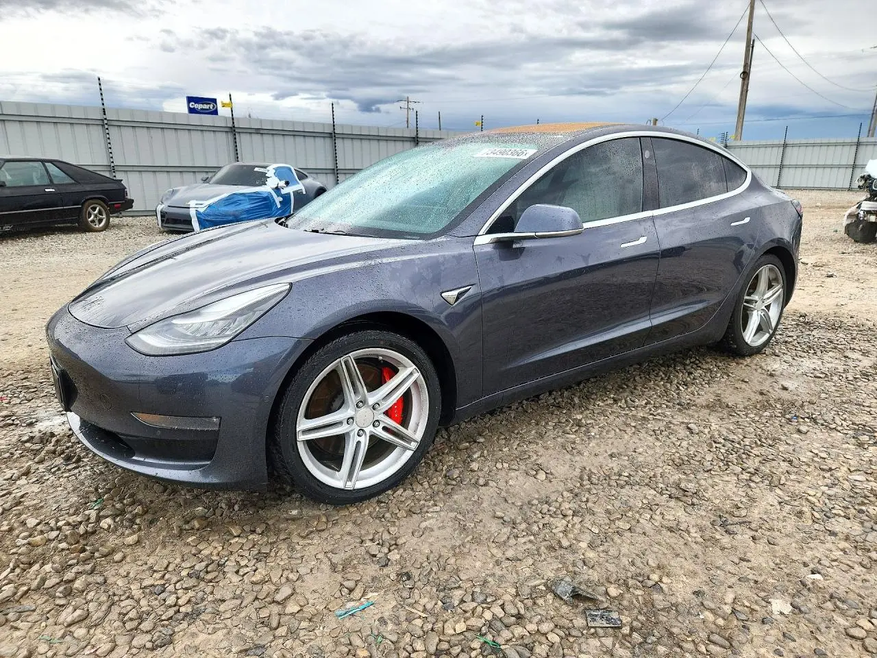 Tesla Model 3 2019