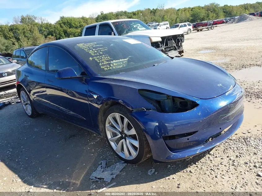 Tesla Model 3 Long Range/Performance 2019