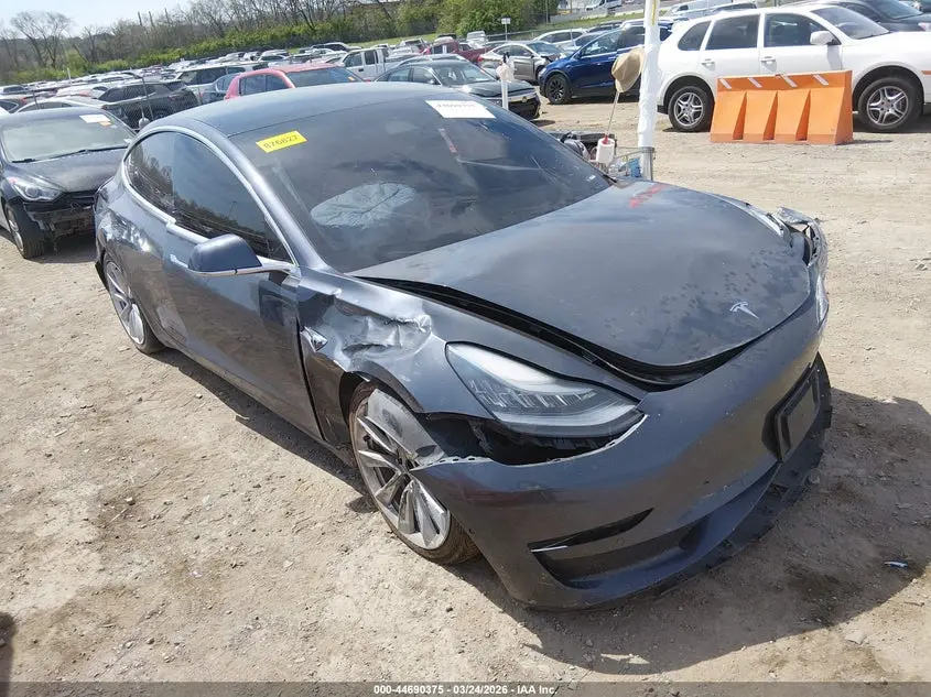 Tesla Model 3 Long Range/Performance 2019
