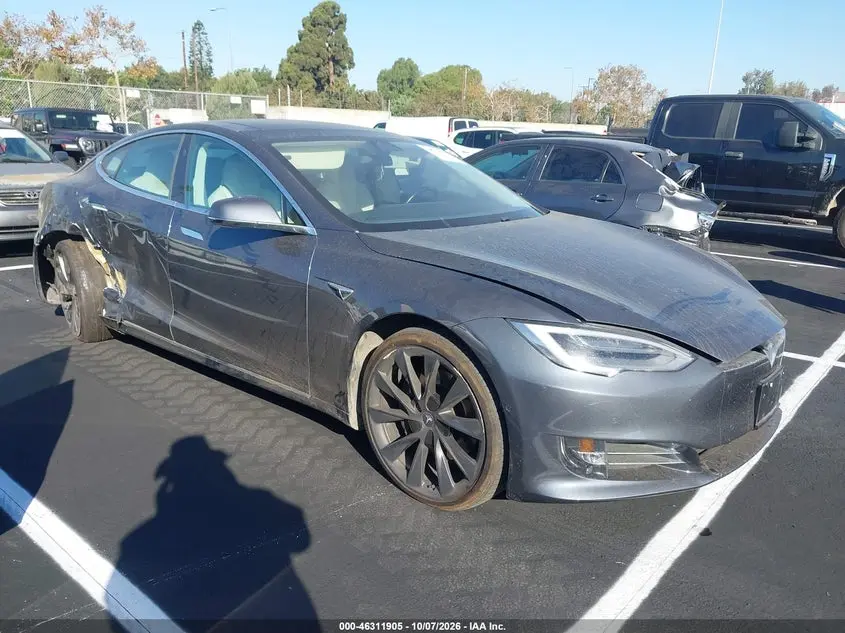 Tesla Model S 100D/75D/Long Range/Standard Range 2019