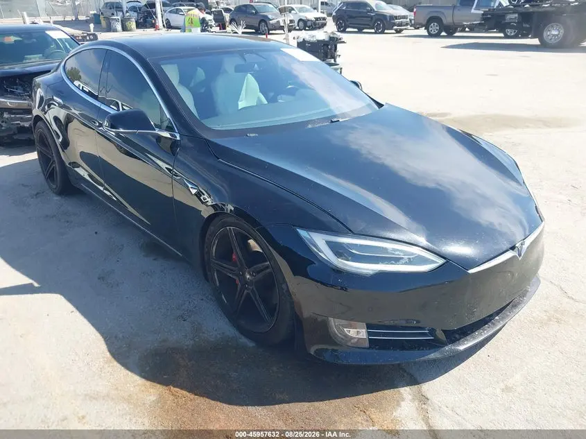 Tesla Model S 100D/Long Range/P100D/Performance 2019
