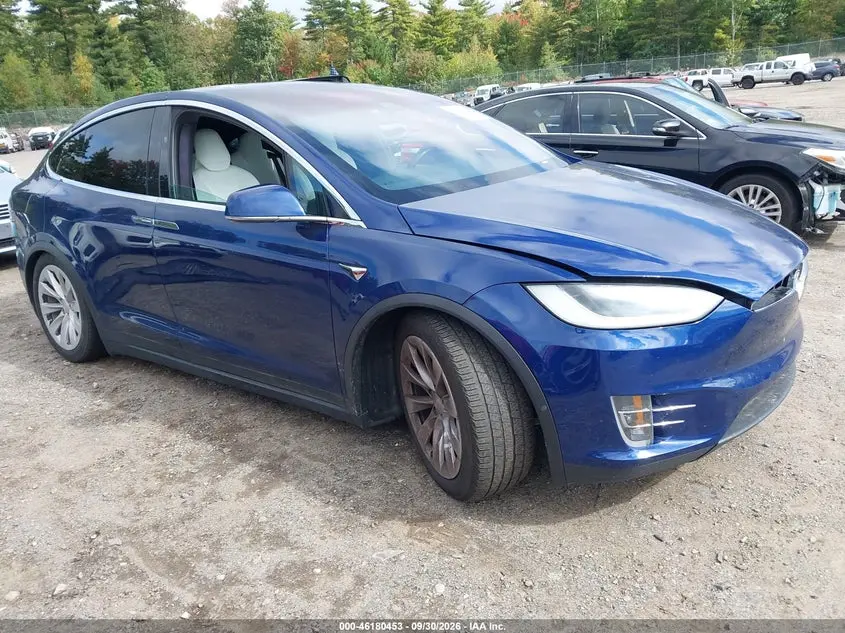 Tesla Model X 100D/75D/Long Range 2019