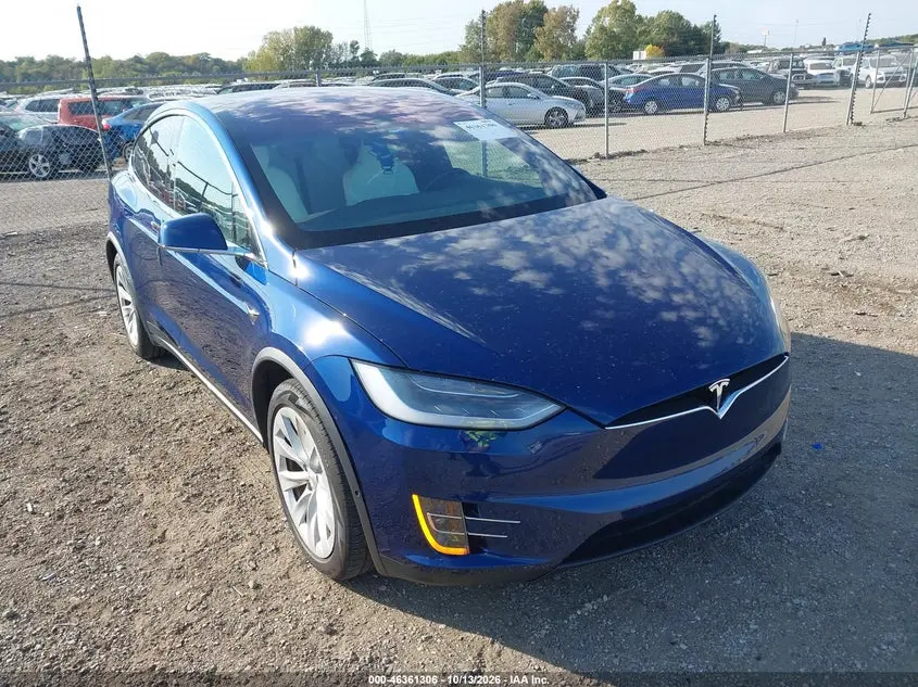 Tesla Model X 100D/75D/Long Range 2019