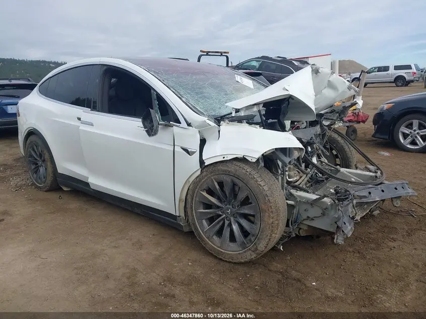 Tesla Model X 100D/75D/90D 2017