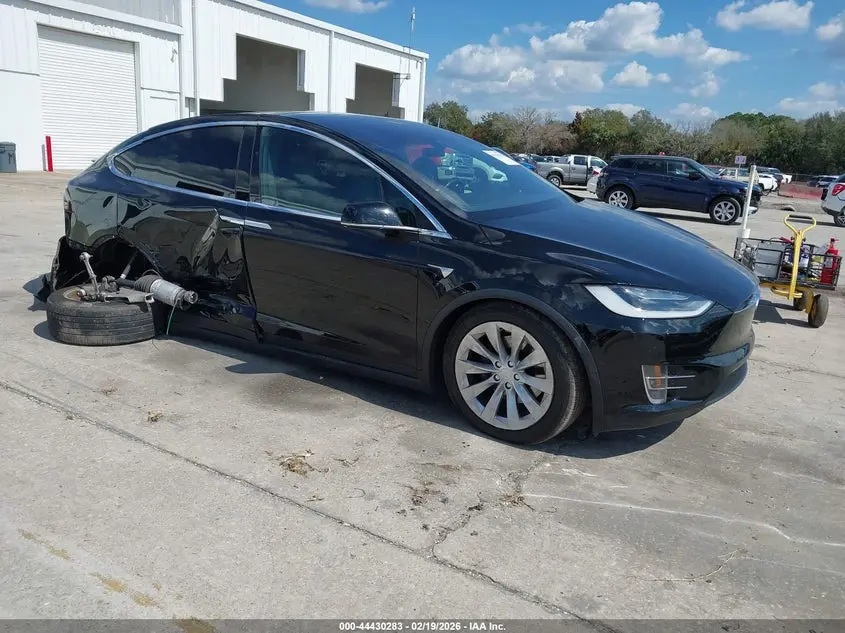 Tesla Model X 100D/75D/Long Range/Standard Range 2019