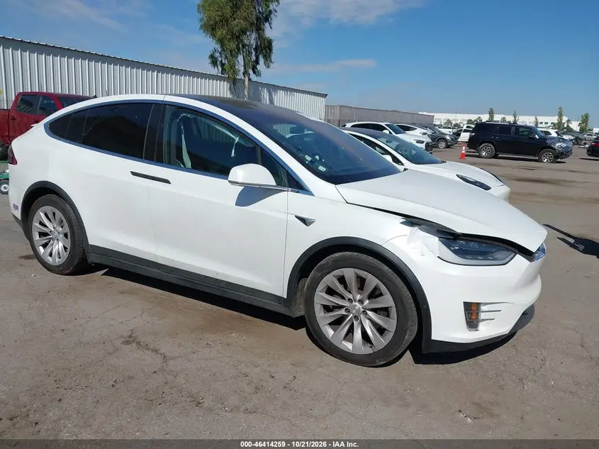 Tesla Model X 100D/75D/Long Range/Standard Range 2019