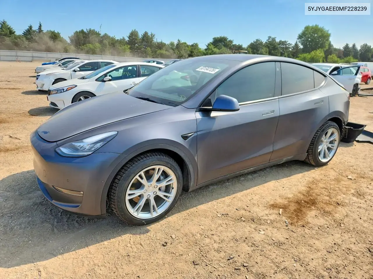 Tesla Model Y 2021