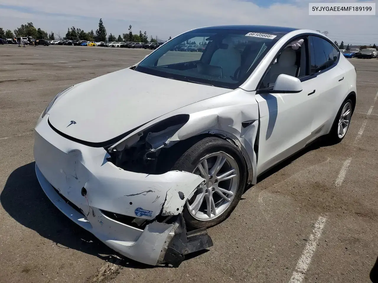 Tesla Model Y 2021