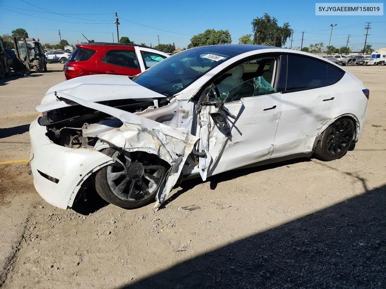 Tesla Model Y 2021