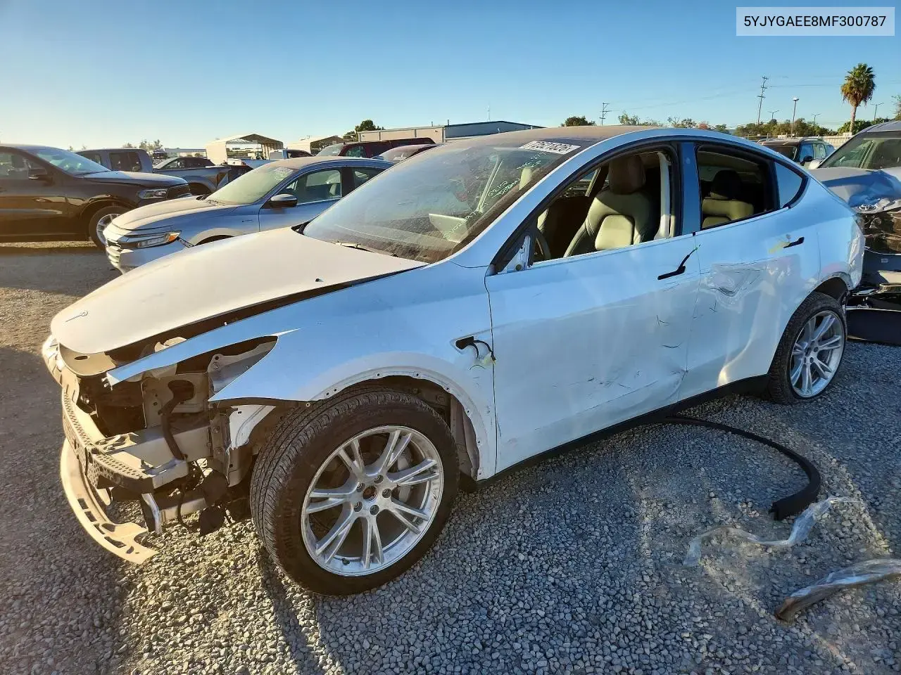 Tesla Model Y 2021