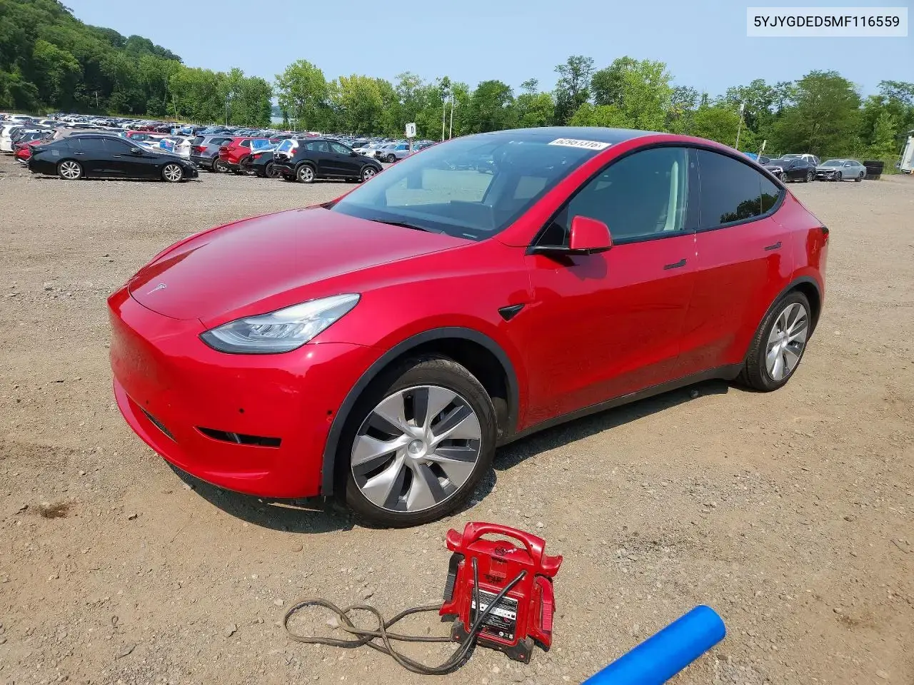 Tesla Model Y 2021
