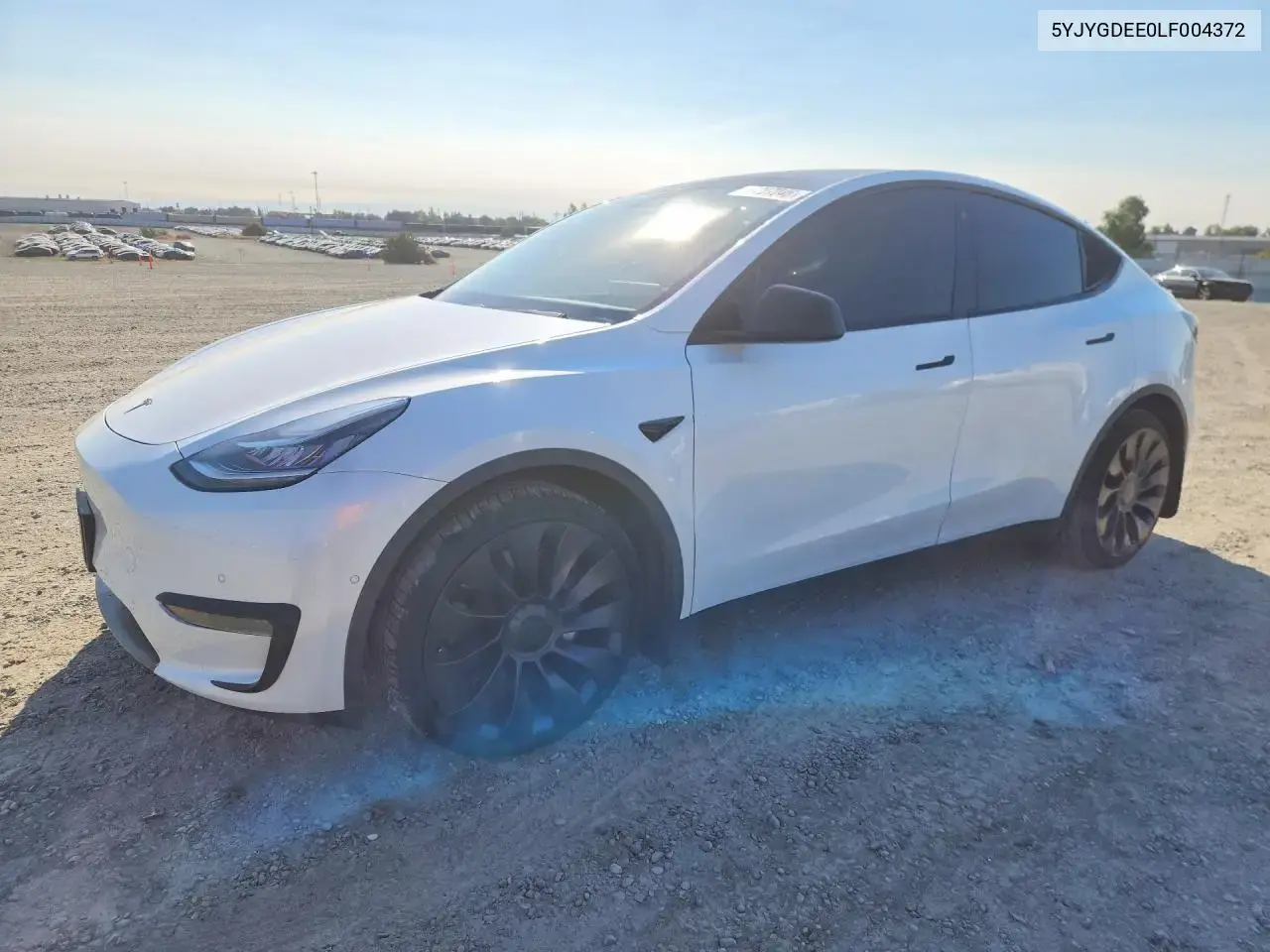 Tesla Model Y 2020