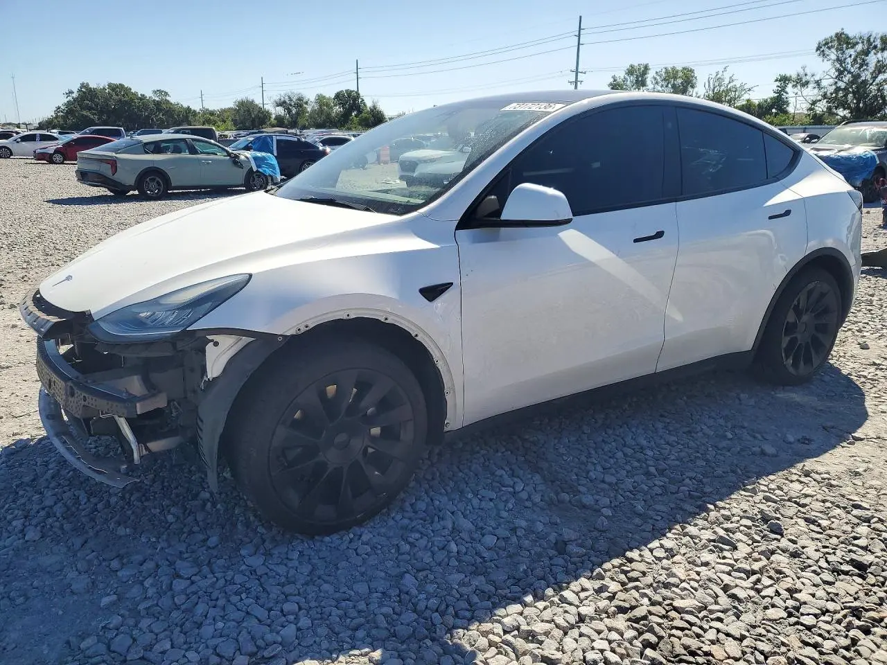 Tesla Model Y 2021