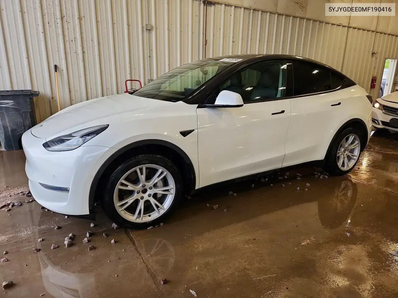 Tesla Model Y 2021