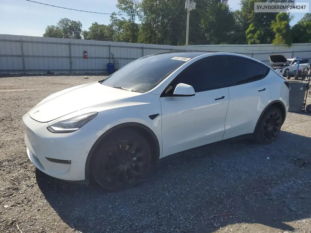Tesla Model Y 2021
