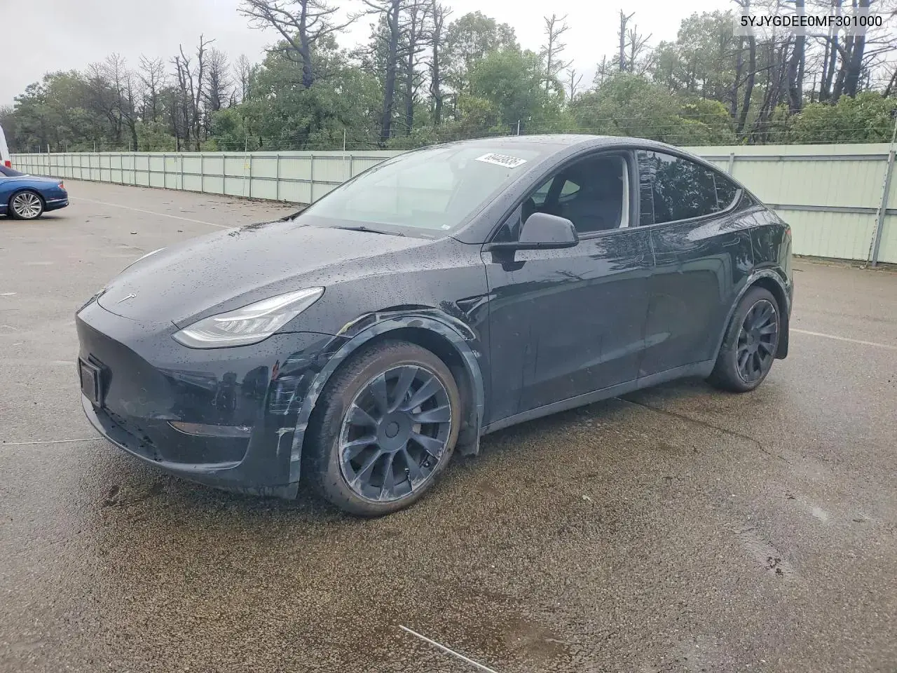 Tesla Model Y 2021