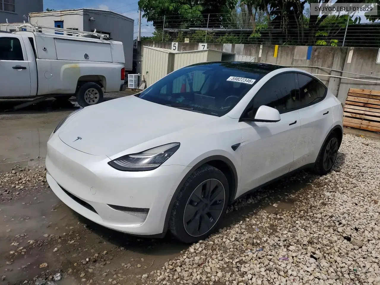 Tesla Model Y 2020