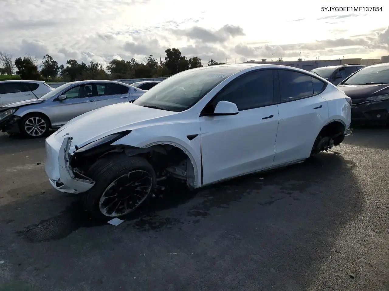 Tesla Model Y 2021