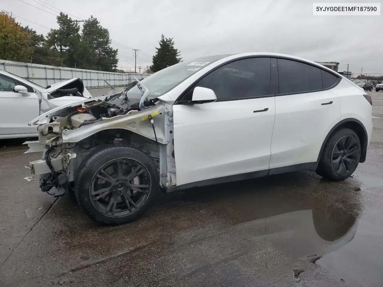 Tesla Model Y 2021