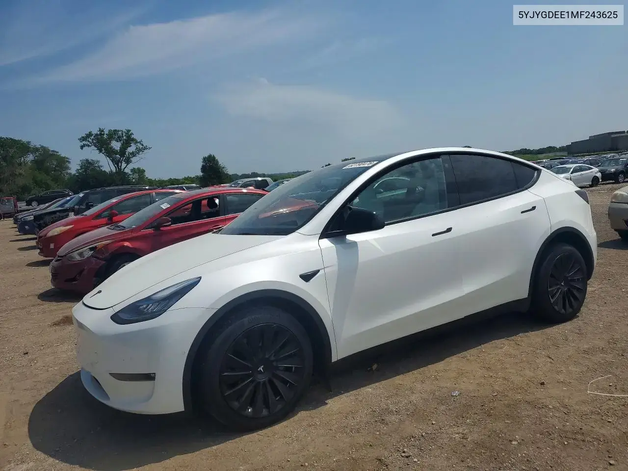 Tesla Model Y 2021