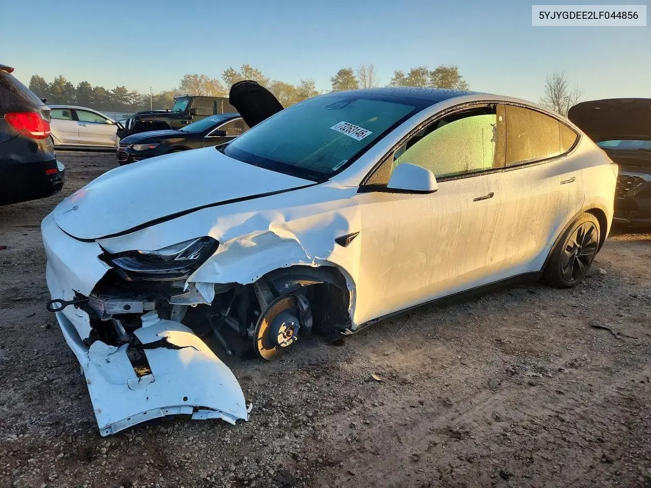 Tesla Model Y 2020