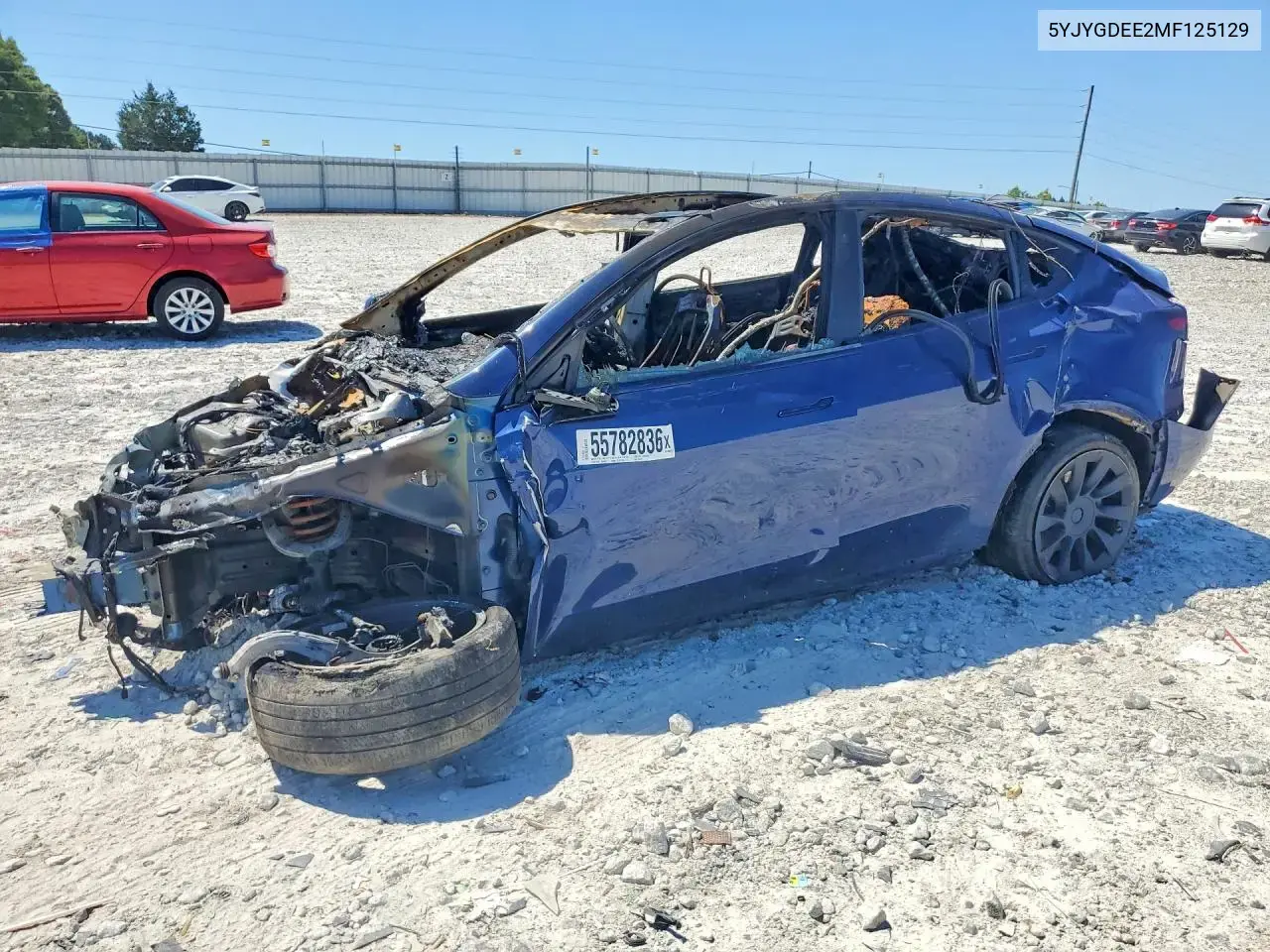 Tesla Model Y 2021