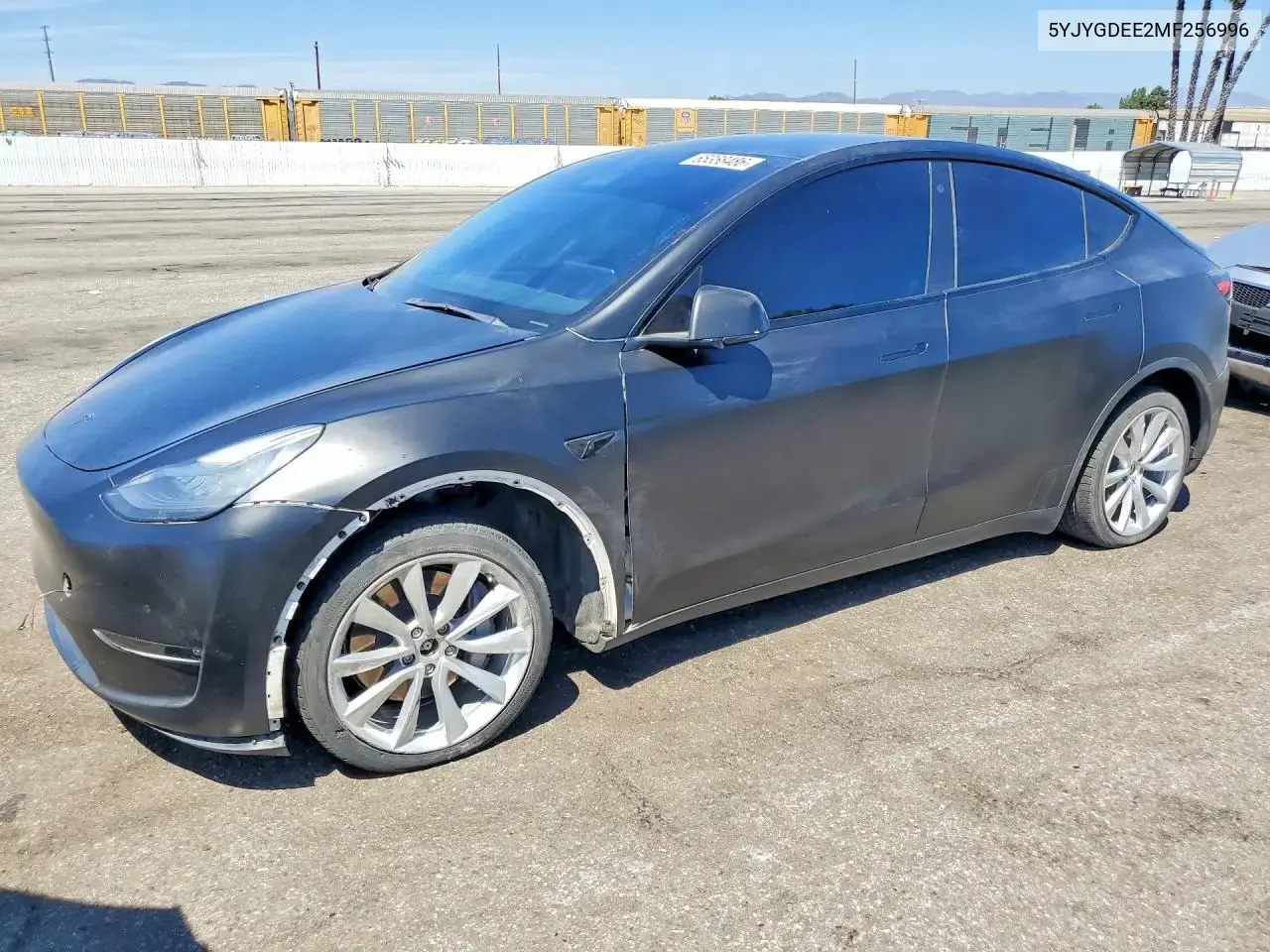 Tesla Model Y 2021