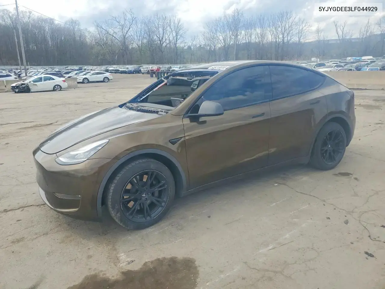 Tesla Model Y 2020