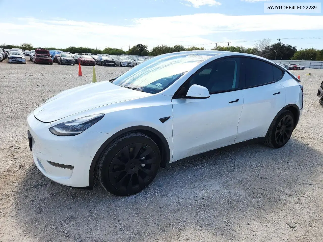 Tesla Model Y 2020