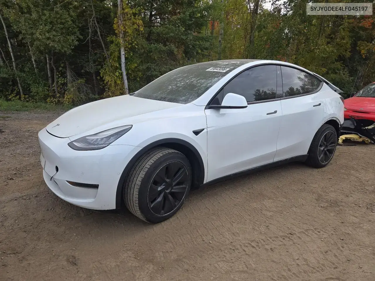 Tesla Model Y 2020