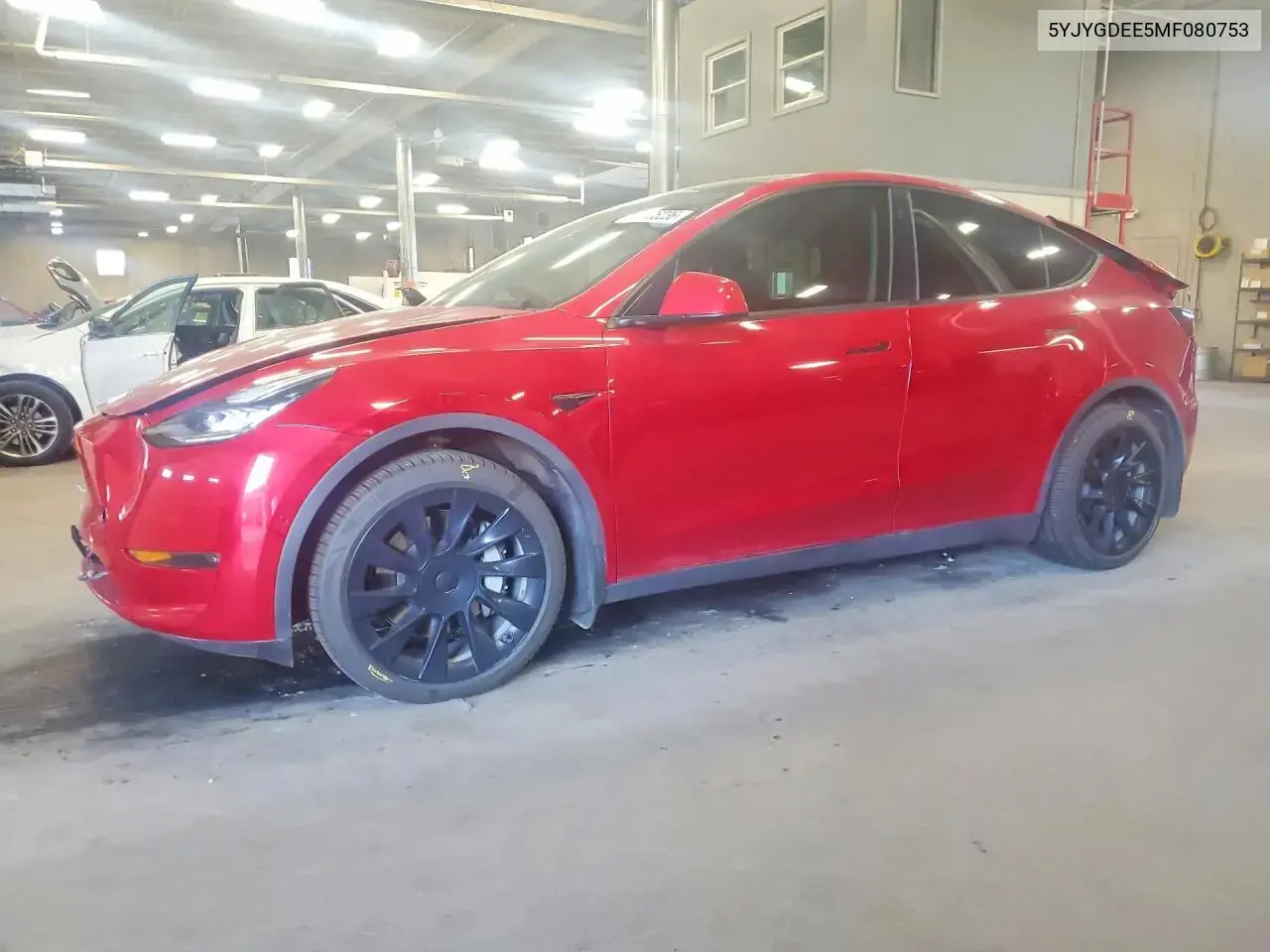 Tesla Model Y 2021