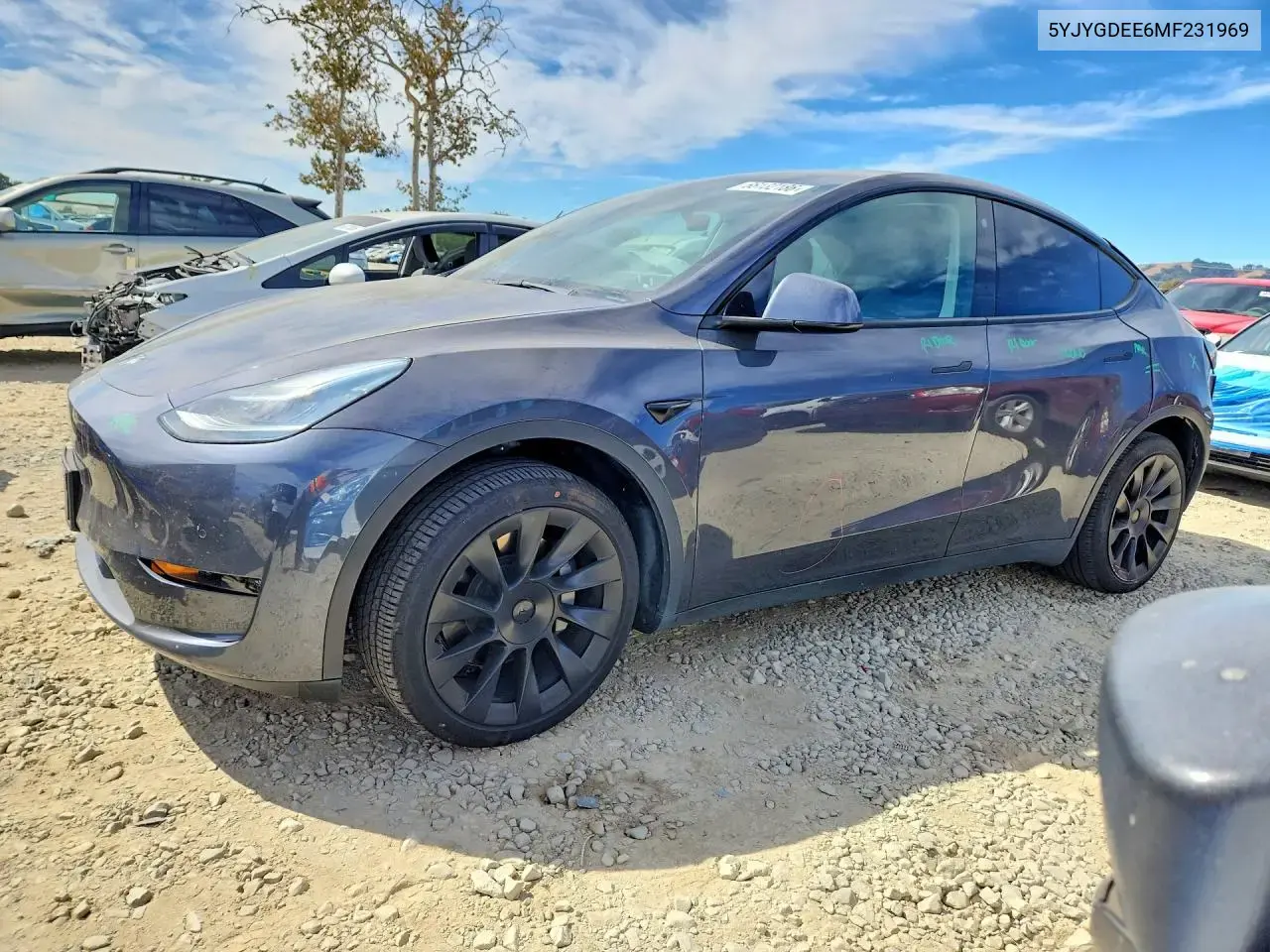 Tesla Model Y 2021