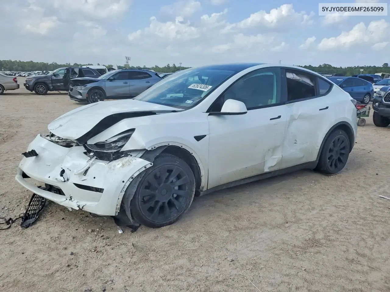 Tesla Model Y 2021