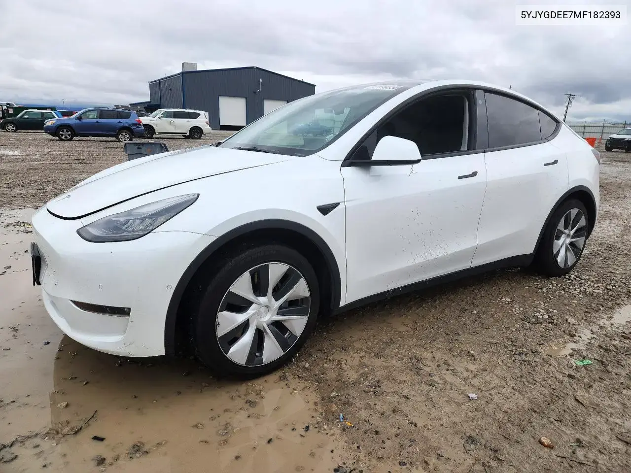 Tesla Model Y 2021